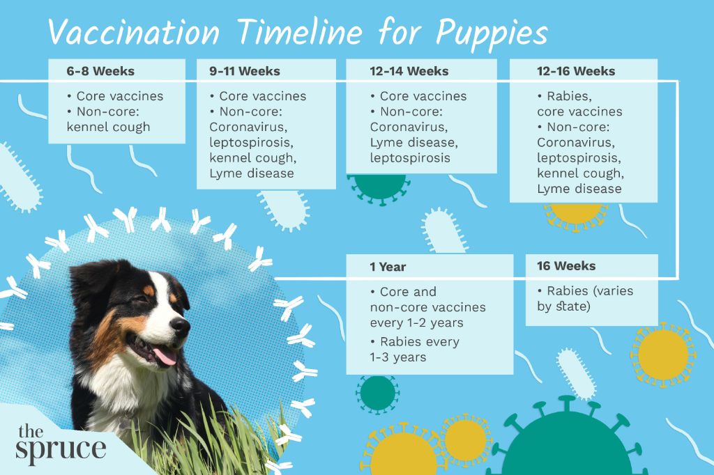 puppy vaccination series