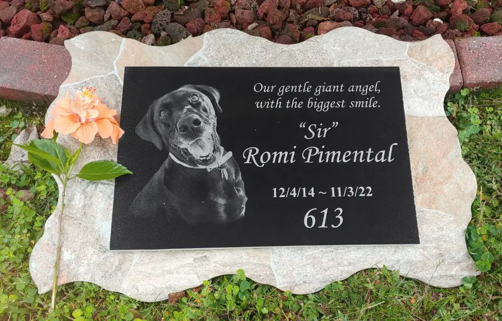 putting a protective border around a dog's grave