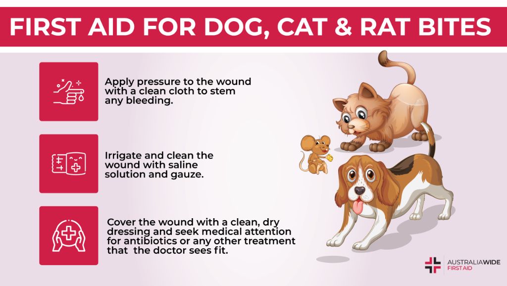 receiving medical treatment for a serious dog or cat bite.