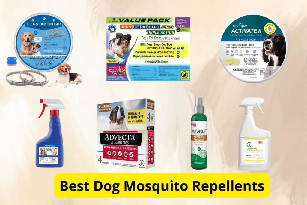 recommendations for mosquito repellents