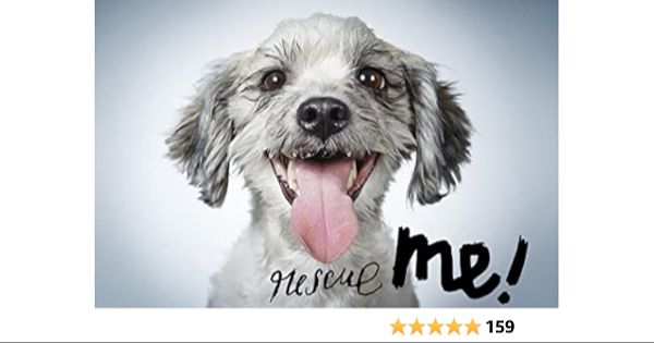 rehoming dogs with rescue me