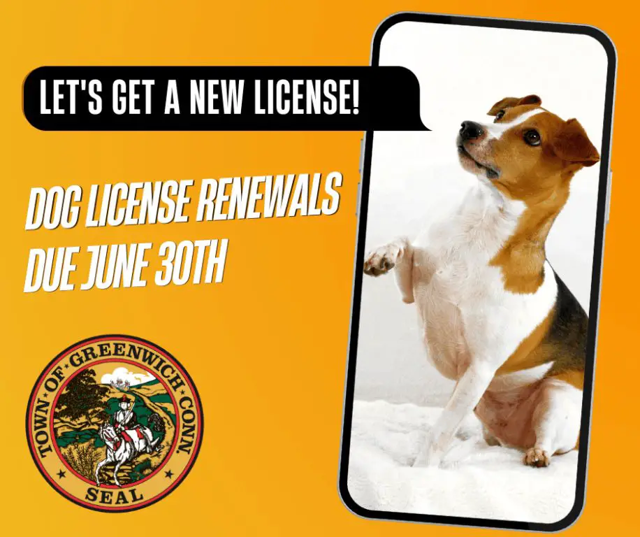 renewing business licenses