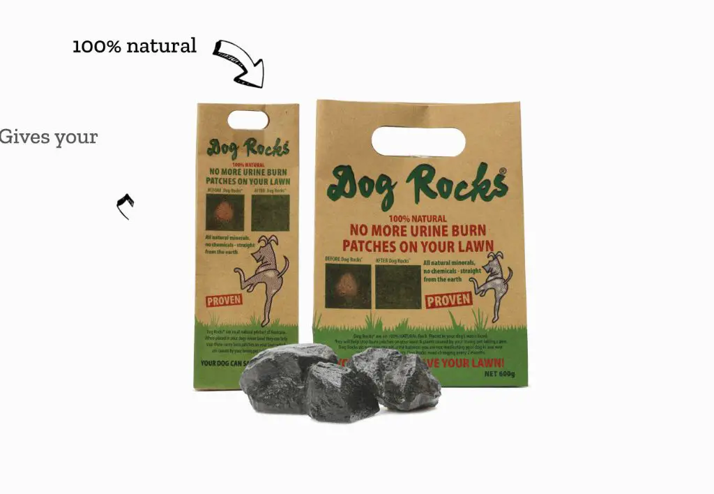 replacing old dog rocks with new ones