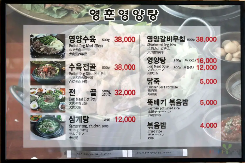 restaurant owner showing edited menu without dog meat