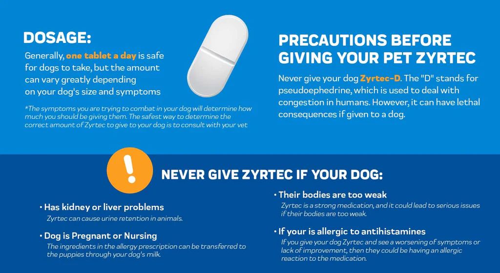 risks of high zyrtec dose in dogs