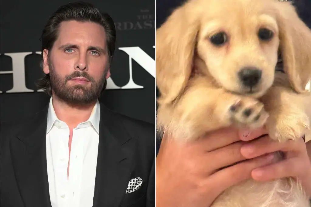 scott disick holding his new puppy close and looking at it lovingly