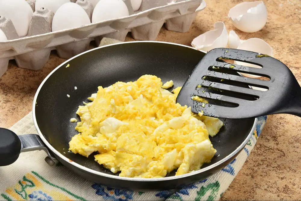 scrambled eggs for dogs