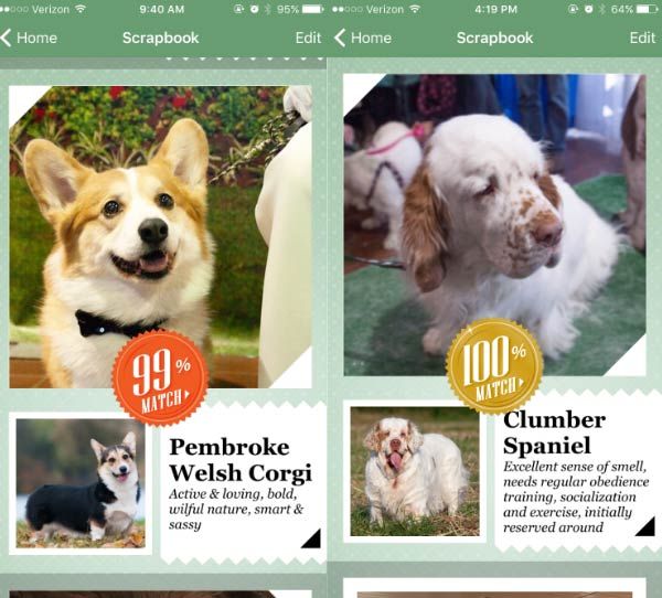 screenshots of dog breed identifier apps