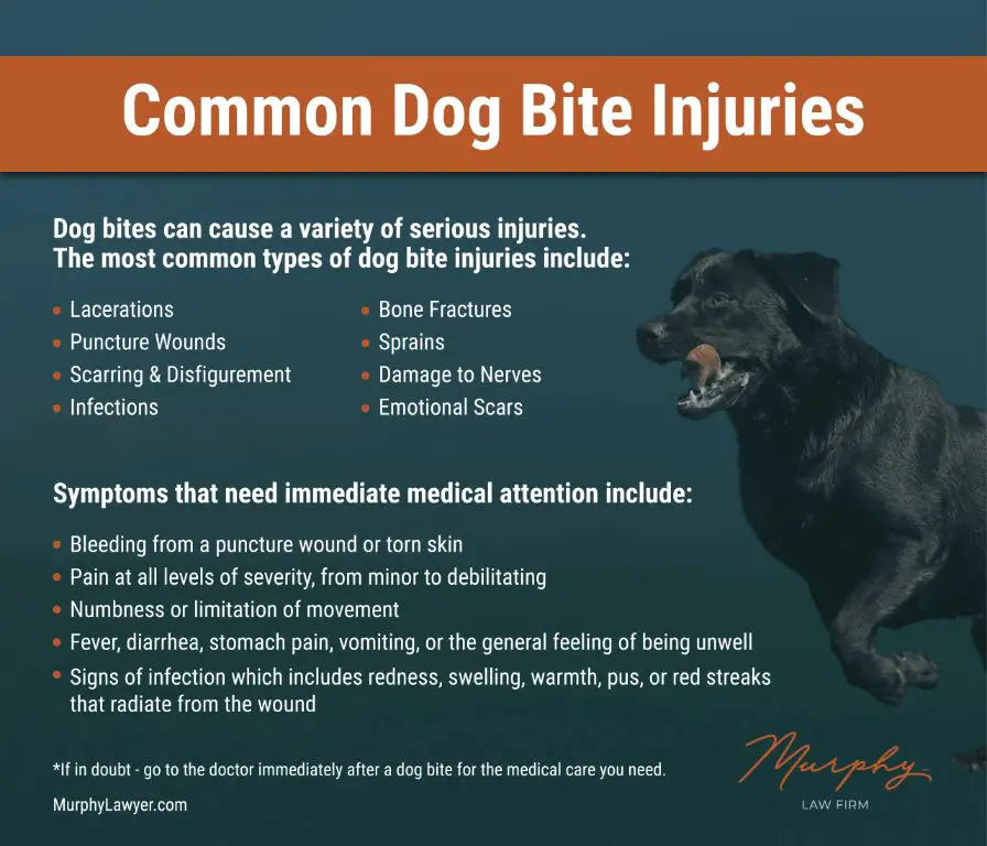 seek medical care if bite symptoms seem severe.