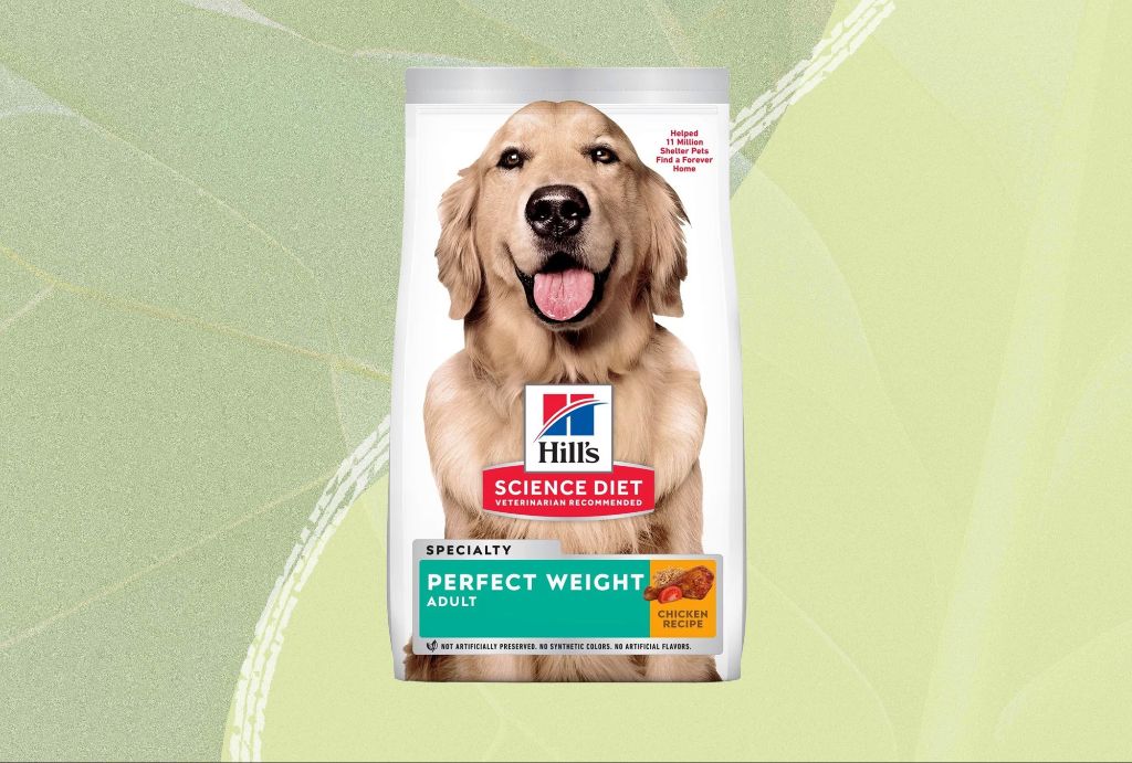 senior dog food supporting weight control