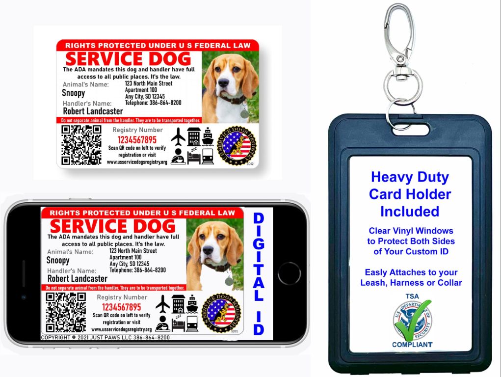 service dog credentials - id card, certificate, vest, leash.