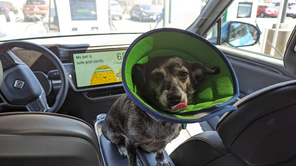 some automakers like rivian are adding dog mode features similar to tesla's version.