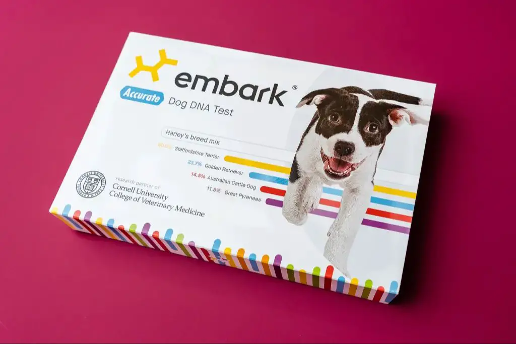 some popular dog dna tests