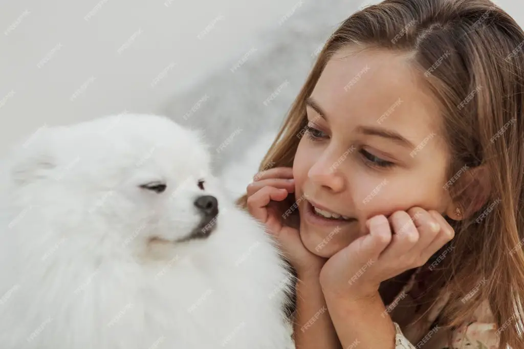 someone looking at photos of a dog