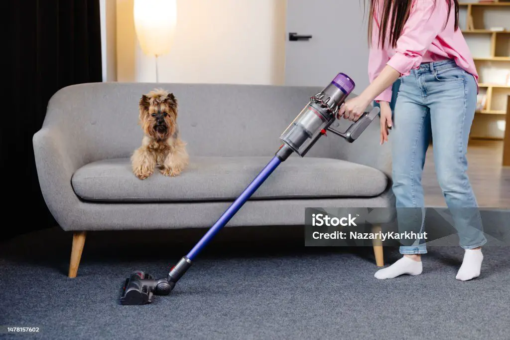 someone vacuuming a carpet