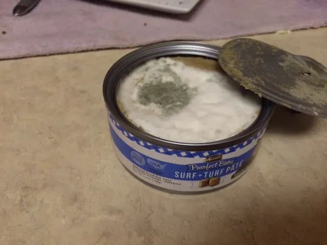 spoiled canned dog food with mold