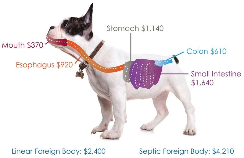 surgery costs for obstruction