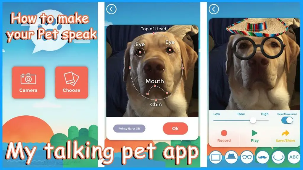 talking dog app demo