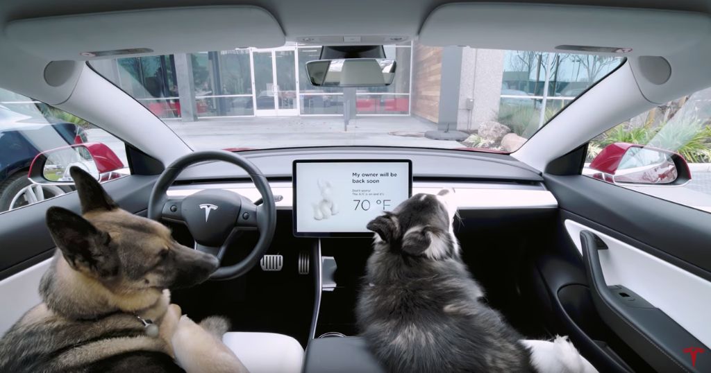 tesla created dog mode so owners could safely leave pets in climate controlled cars.