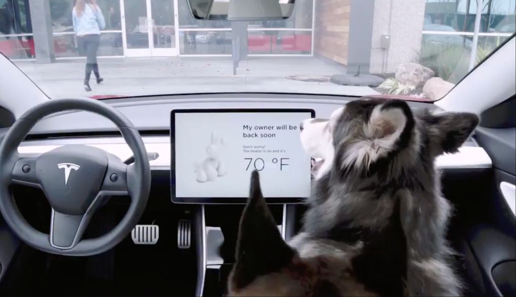 tesla owner setting up dog mode on touchscreen