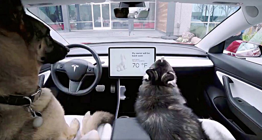 tesla's dog mode allows owners to leave climate control running for unattended pets.