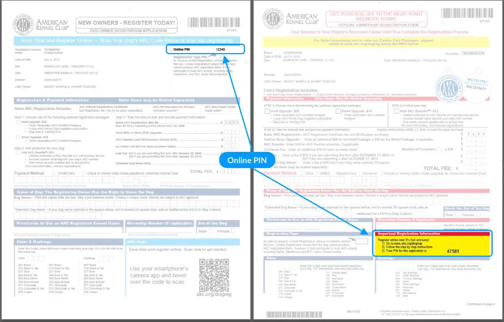 the akc registration certificate for a dog, now updated with the new owner's name and info.