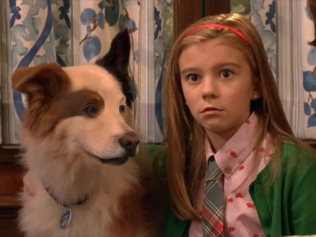 the character of stan, the talking dog from dog with a blog