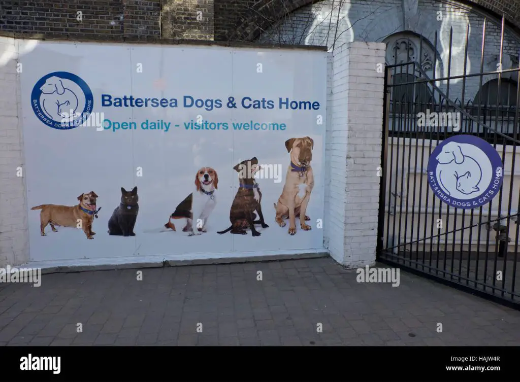 the entrance sign welcomes visitors to the renowned battersea dogs home in london.