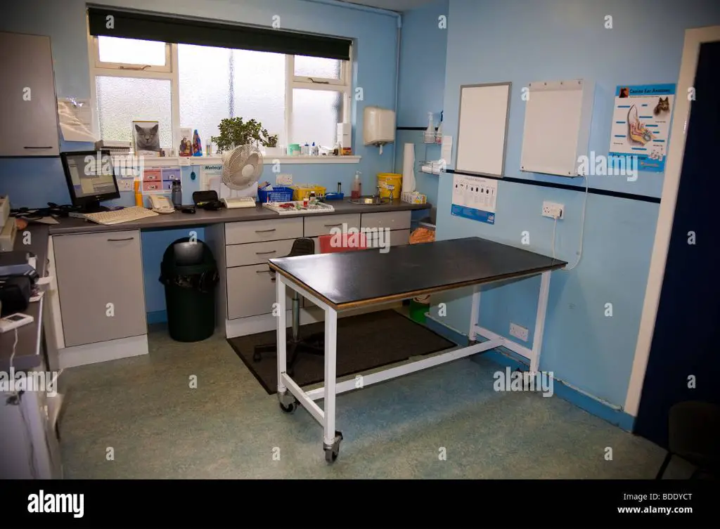 the interior of a veterinary clinic