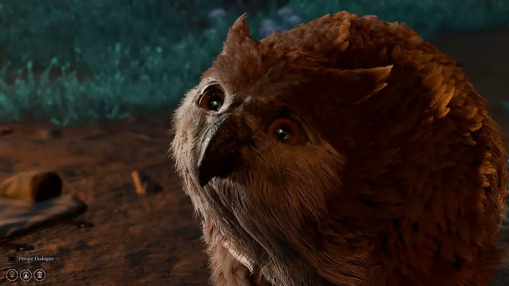 the player feeding meat to the owlbear cub