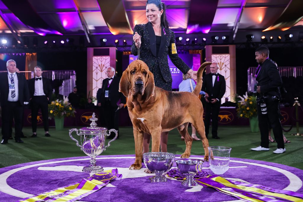the westminster best in show judge awarding first place