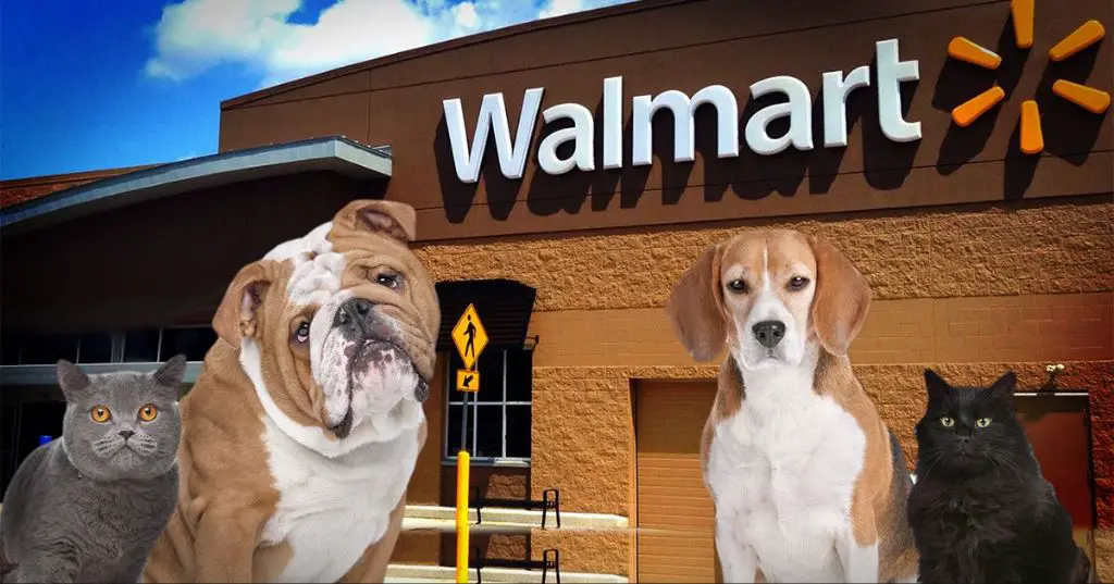 tips to smoothly shop with dogs at walmart