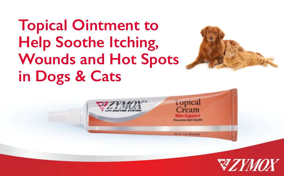 topical ointments for dog skin infections