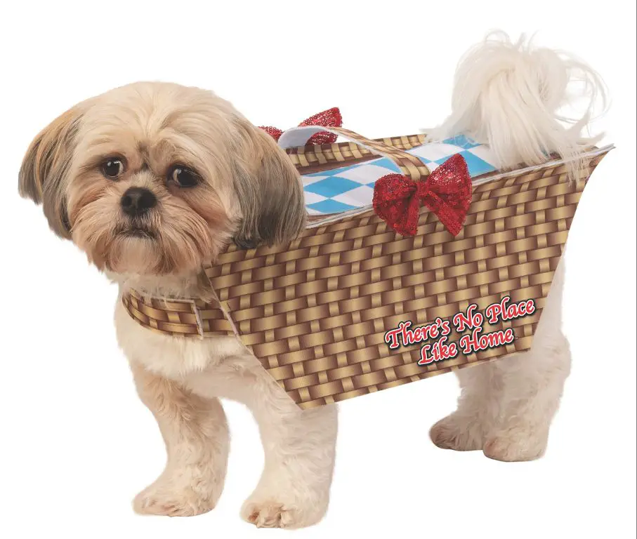 toto dog costumes selling on amazon marketplace