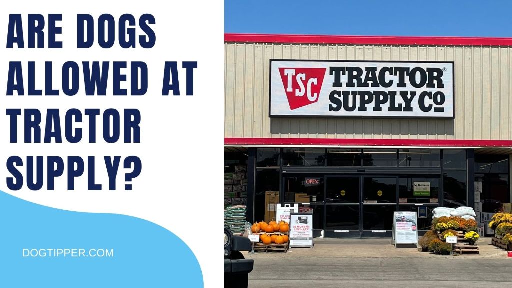 tractor supply storefront
