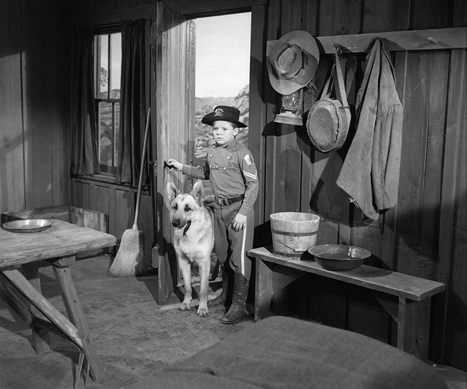 trainer working closely with rin tin tin on set during filming