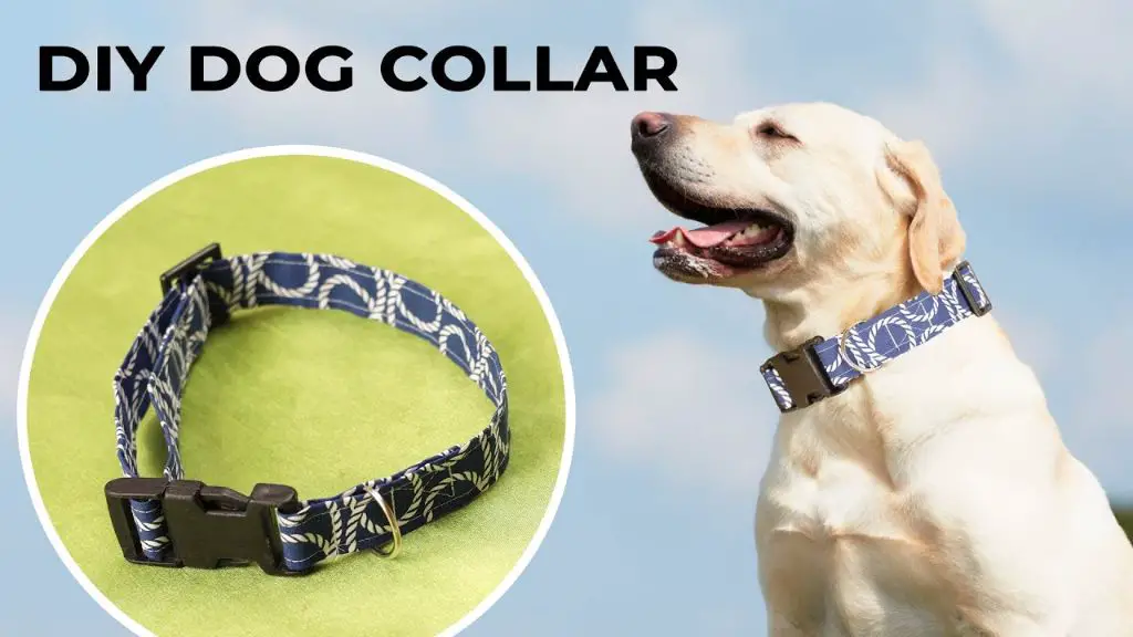 try a padded fabric collar