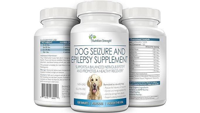 two different pill bottles for dog seizures medicine