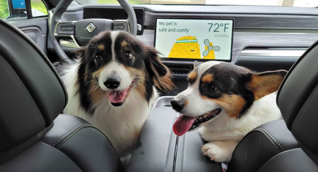 upcoming evs like rivian are adding pet comfort modes similar to tesla's dog mode.