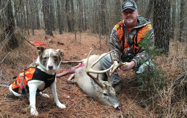 using trailing dogs can aid ethical harvests, but hunters must still avoid risky shots that wound deer.