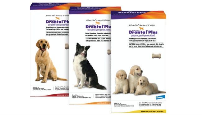 various deworming medication tablets