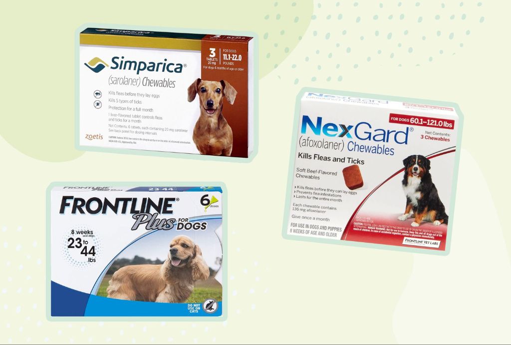 various flea control medications for dogs