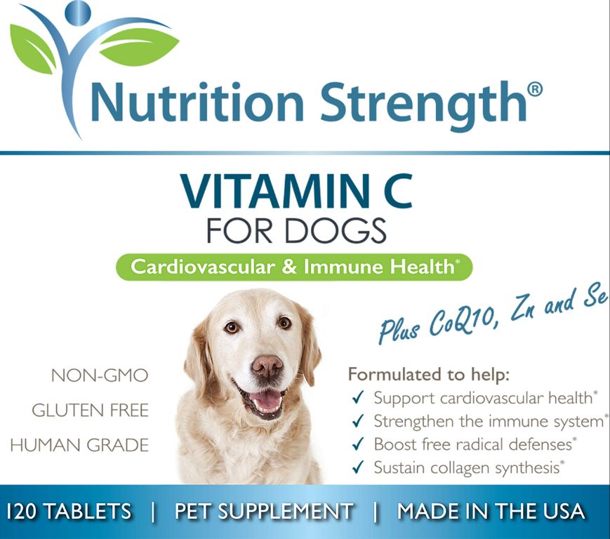 vitamin c sources for immune health in dogs