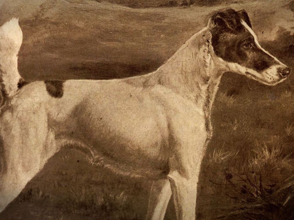 warren remedy, the first dog to win westminster three times