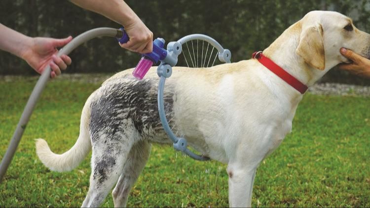 washing a dog with a hose