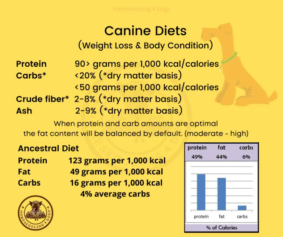 where dog food calories come from