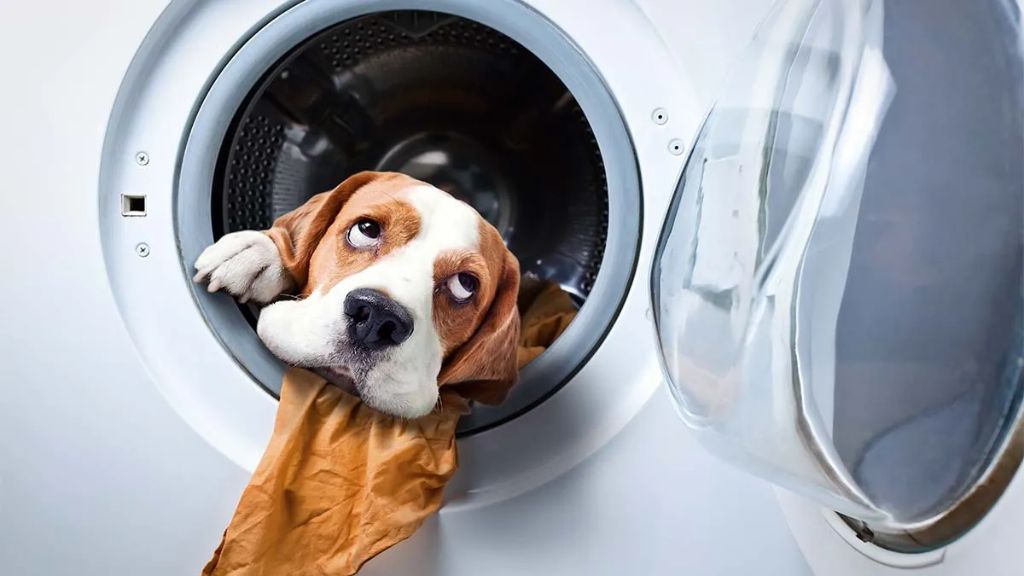 white vinegar being poured into a washing machine