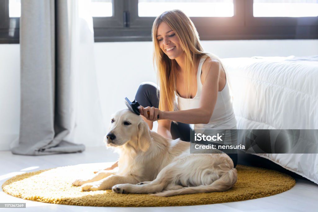woman brushing dog's hair