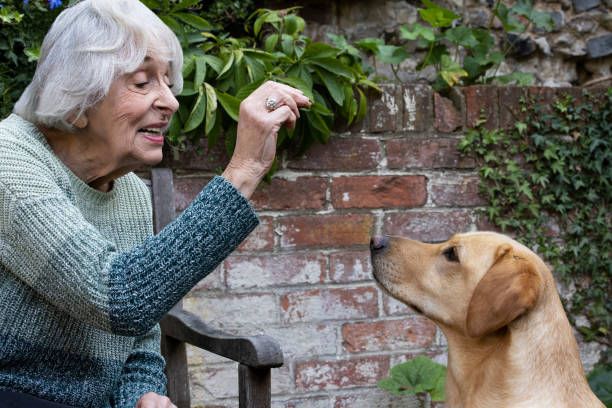 woman rewarding senior dog with treat