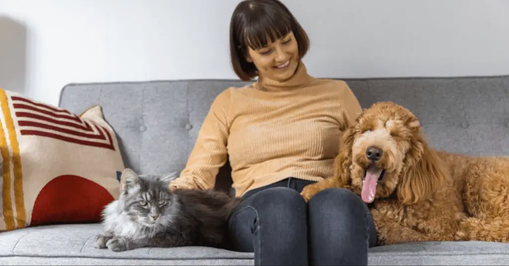 woman separating cat and dog at meal time